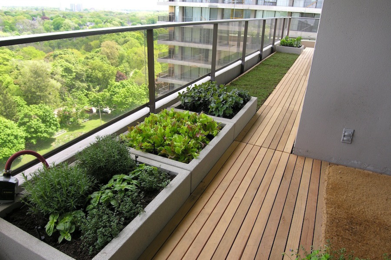 Balcony gardening. Мини огородик на балконе. Озеленение балкона. Озеленение балконов и лоджий. Зелень на балконе.