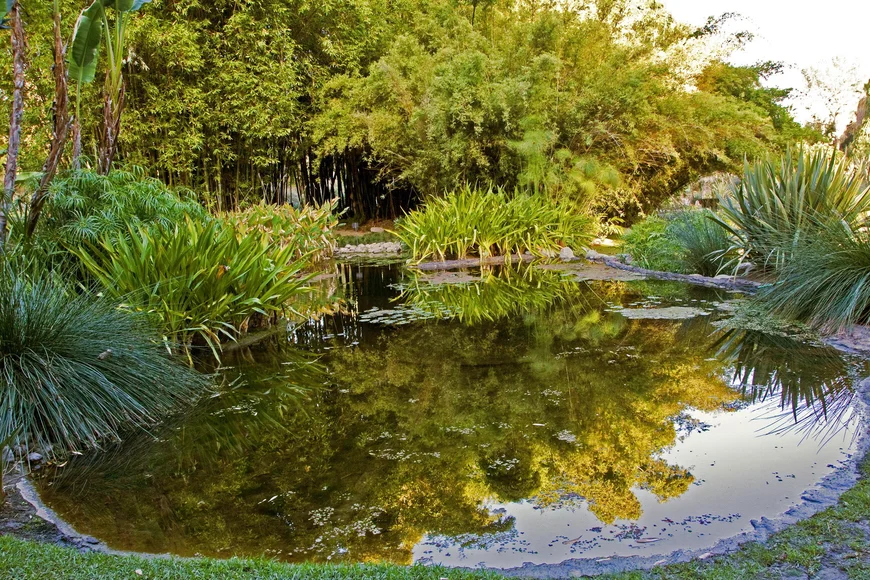 Сады Пруд Huntington Botanical Garden San Marino California USA Сады Пруд Huntington Botanical Garden San Marino California USA