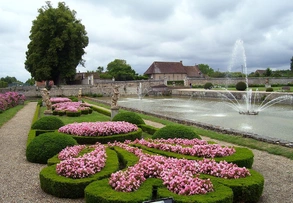 С помощью “зеленых бордюров” эффектно декорируют границы цветников, дорожек, игровых площадок.