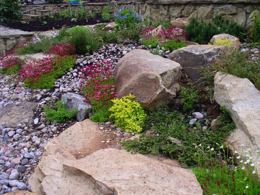 При укладке плит или камней между ними обязательно оставляют достаточное пространство для размещения растений и роста их корневой системы. 