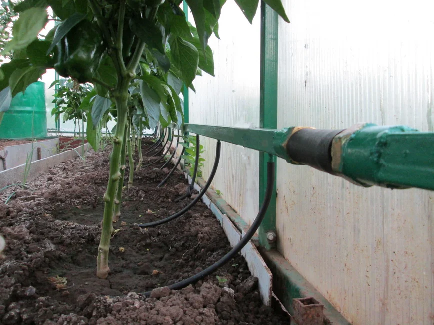 Капельный полив