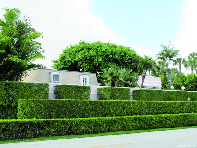 Когда высота изгороди достигнет запланированного размера ,коррекцию проводят ранней весной до распускания листьев, затем 2-3 раза в летний период и последнюю- за месяц до устойчивых холодов.