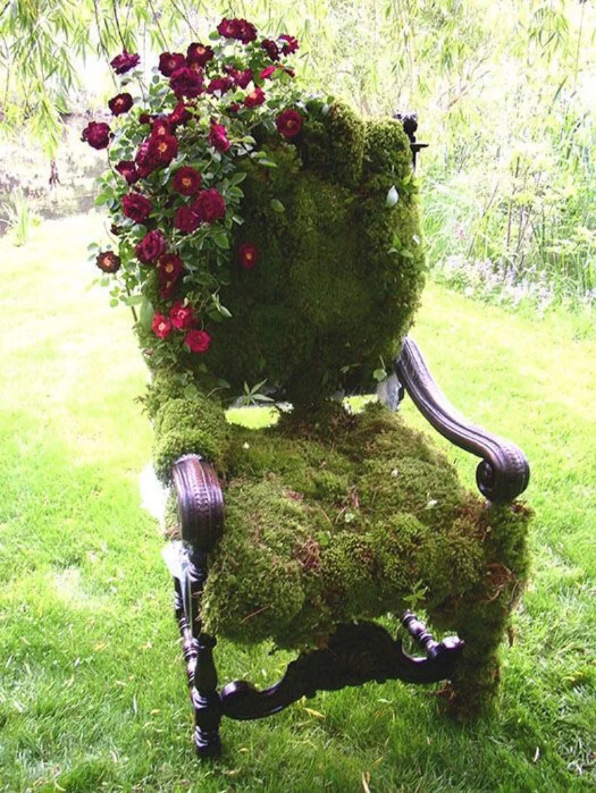Moss garden