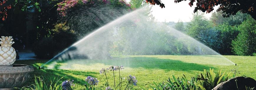 В дождевании нуждаются все хвойные растения, особенно в весенне-летний период. 