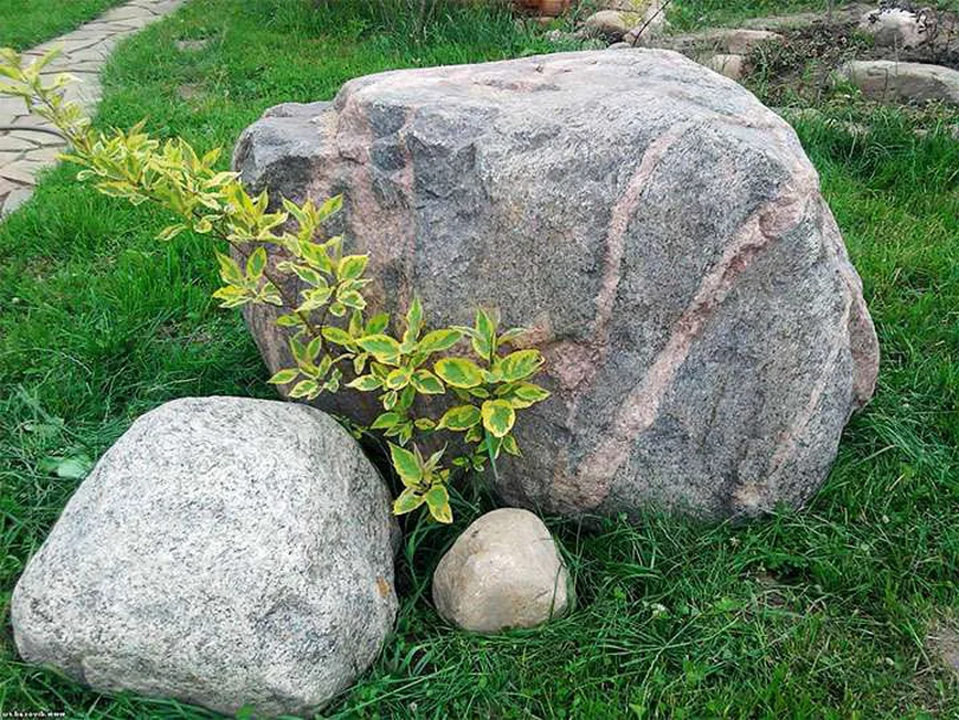 Тренды в садовом дизайне 2022 года