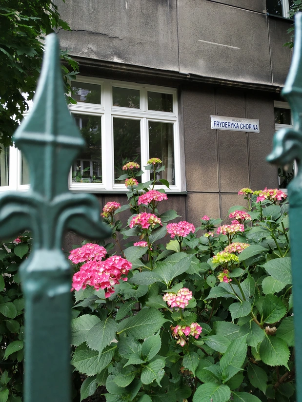 Декоративные элементы и навершия