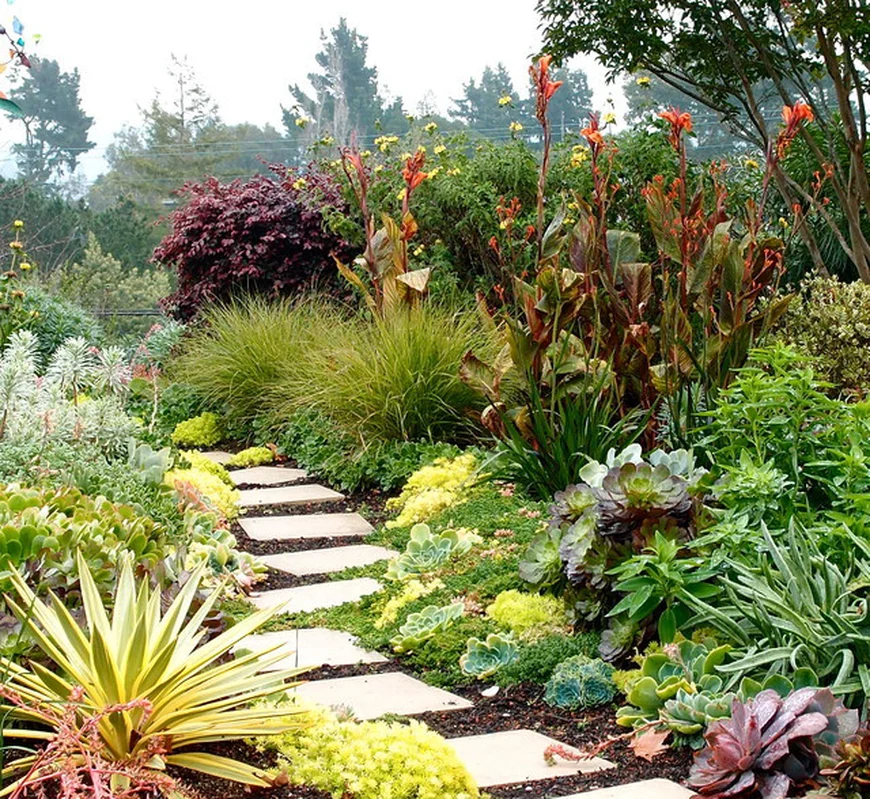 Красочные цветы южного сада