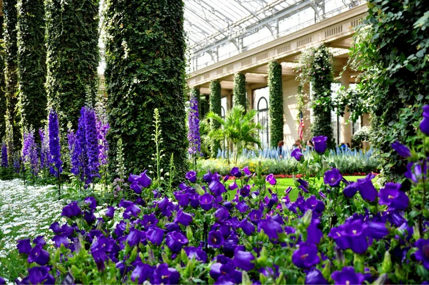 Сад Дюпона .Ботанические сады Америки.