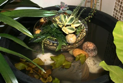 В небольшой ёмкости можно разместить плавающие растения или фонтанчик с собственным круговоротом воды.