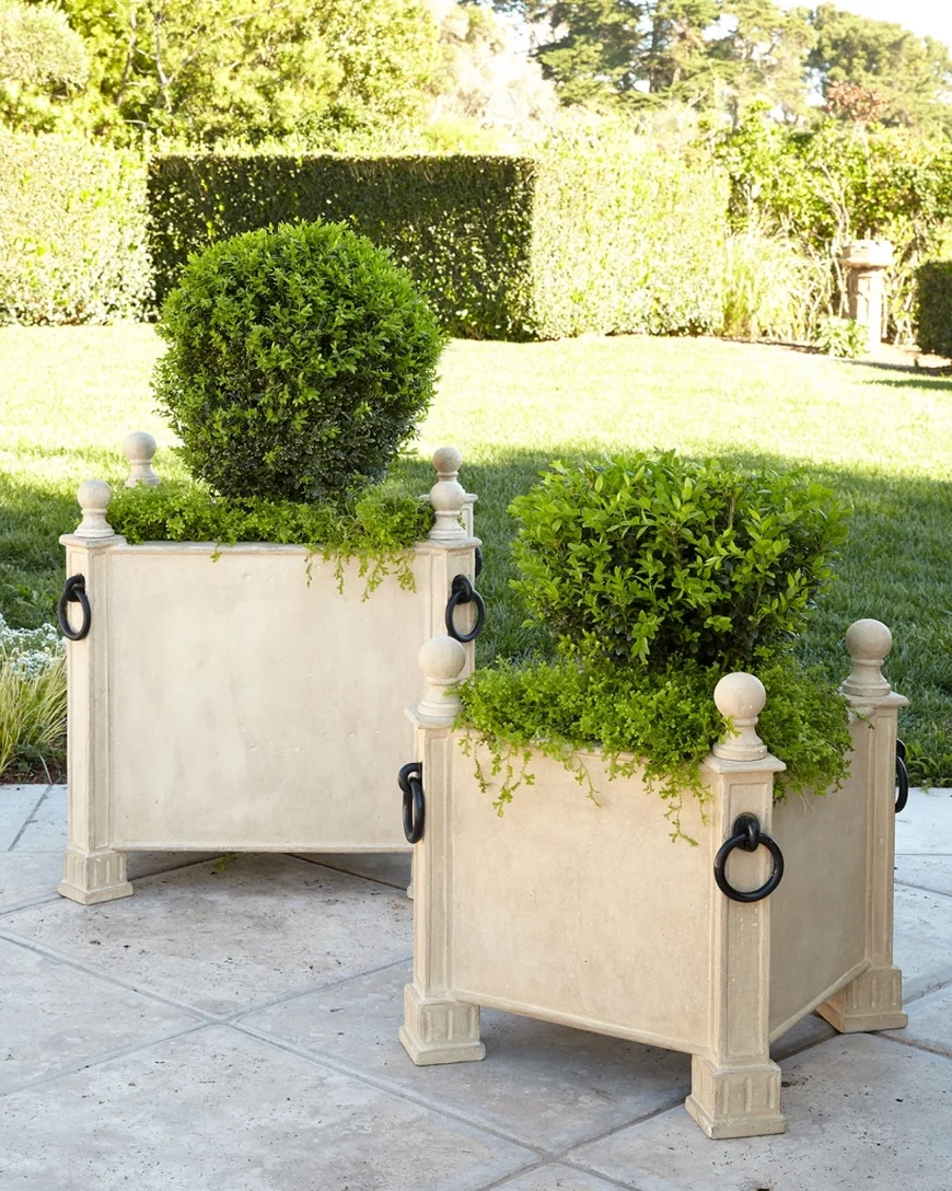 Контейнерные растения. 40 удивительных идей для сада