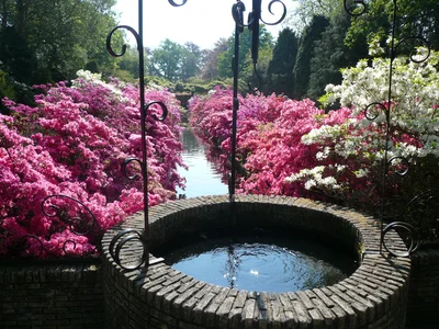 Красивый искусственный водоем — без преувеличения один из самых эффектных и заметных элементов ландшафтного дизайна.