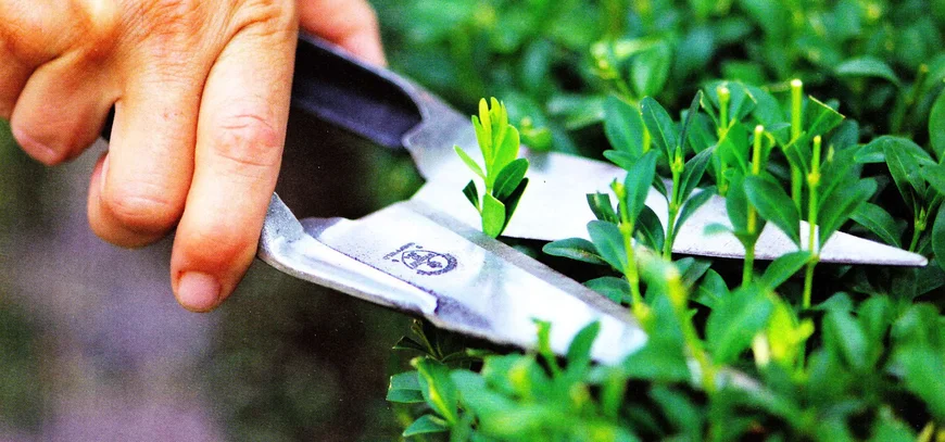 Садовые ножницы для живой изгороди, бордюрные