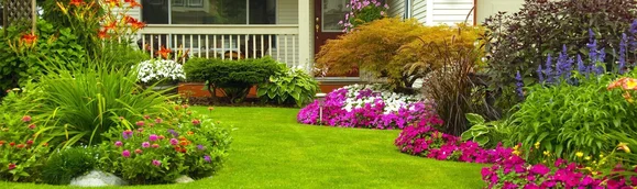 5 секретов быстрого озеленения участка любого размера