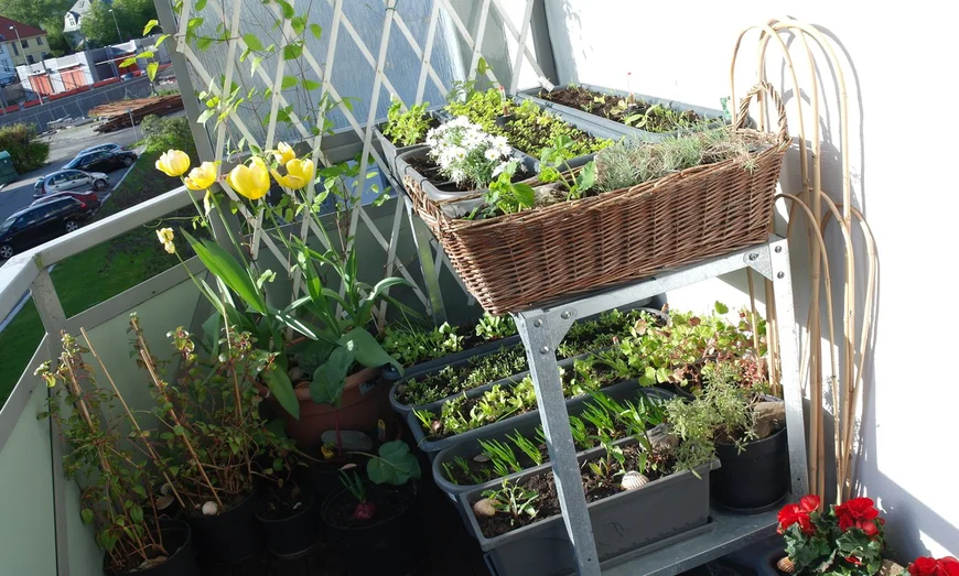 Как создать цветник на балконе. Как создать цветник на балконе.