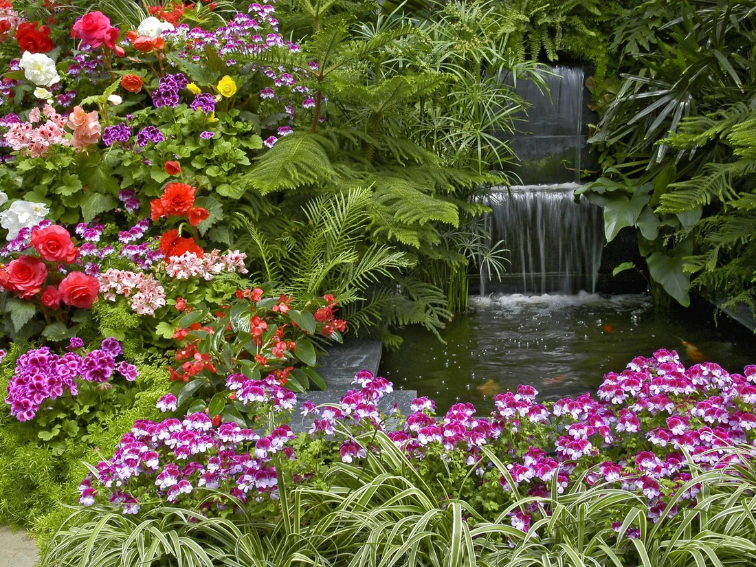 Посадите на клумбах яркие цветы, чтобы привлечь бабочек, а также подберите место для ягодных кустарников и поилок птицам.