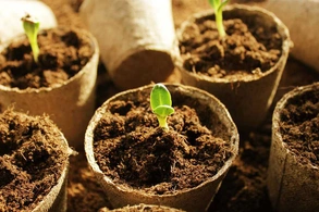 Применение торфа