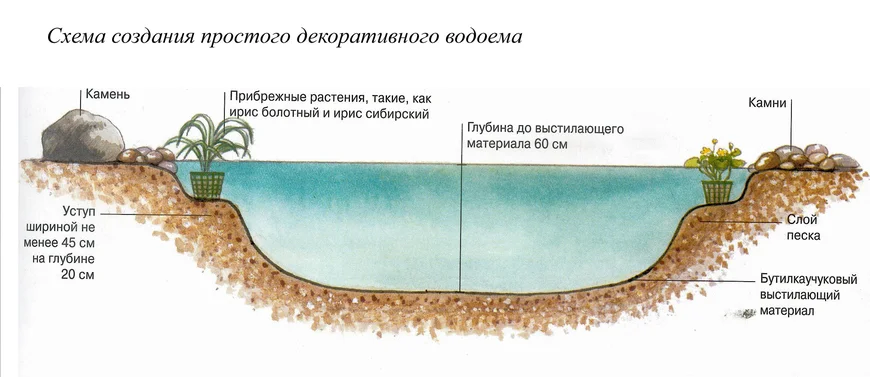 Щи «Старый пруд»