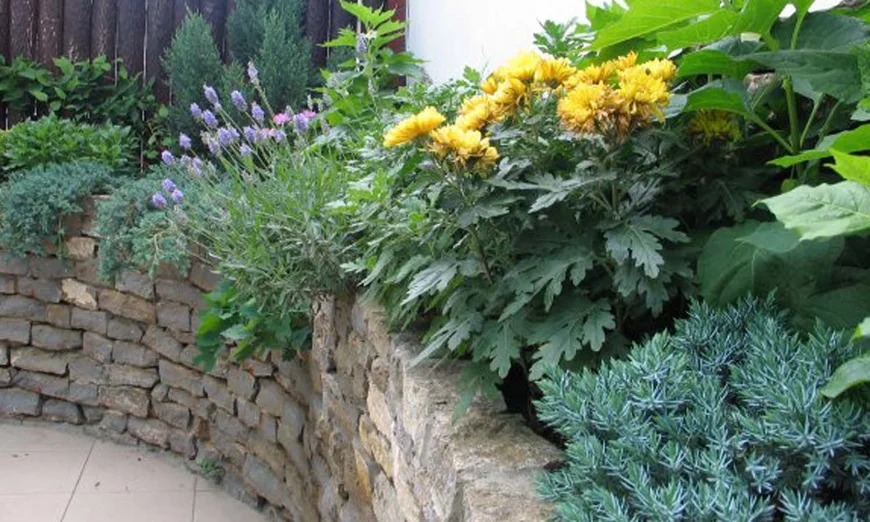 Вдоль внутренней стороны подпорной стенки проложите закрытый дренаж с таким уклоном, чтобы вода уходила за пределы участка. 