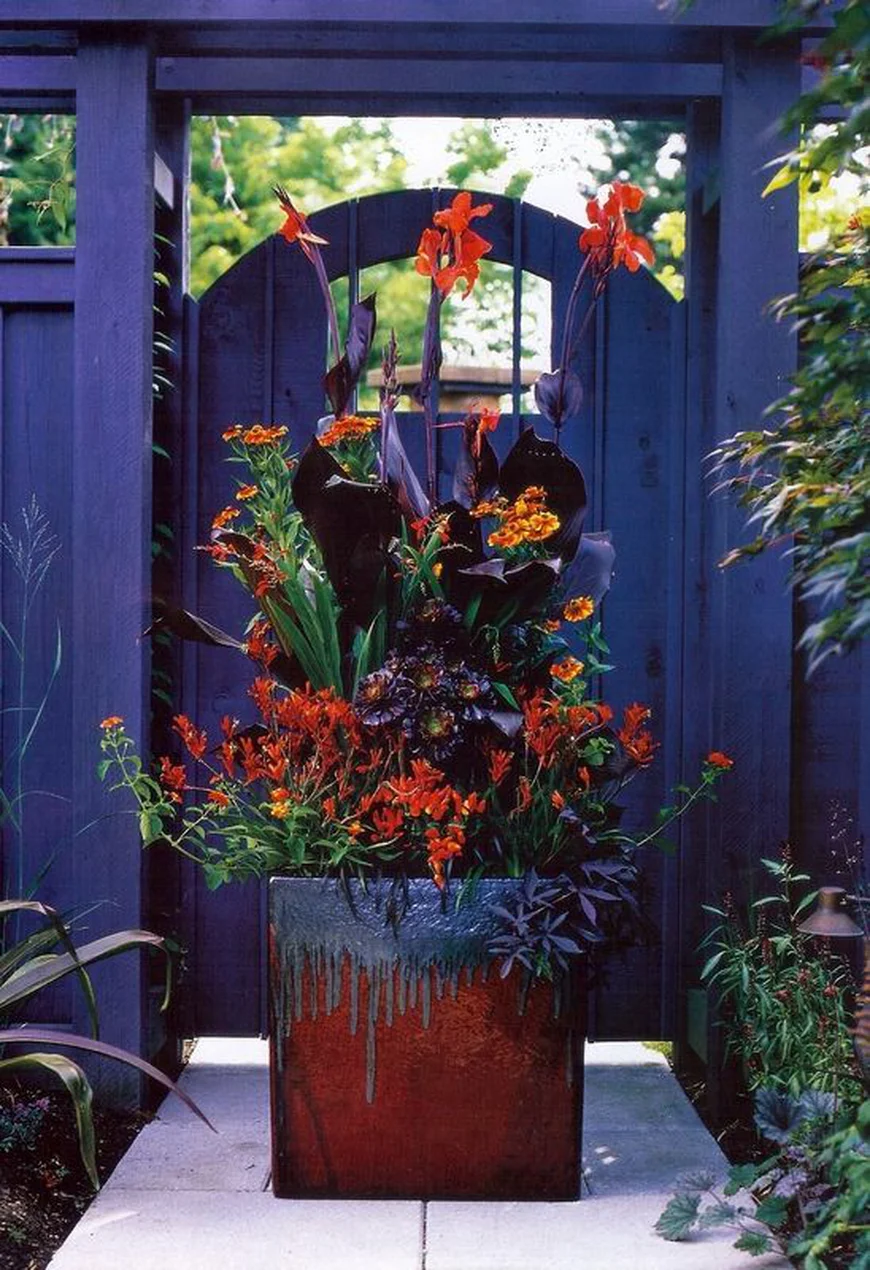 Контейнерные растения. 40 удивительных идей для сада