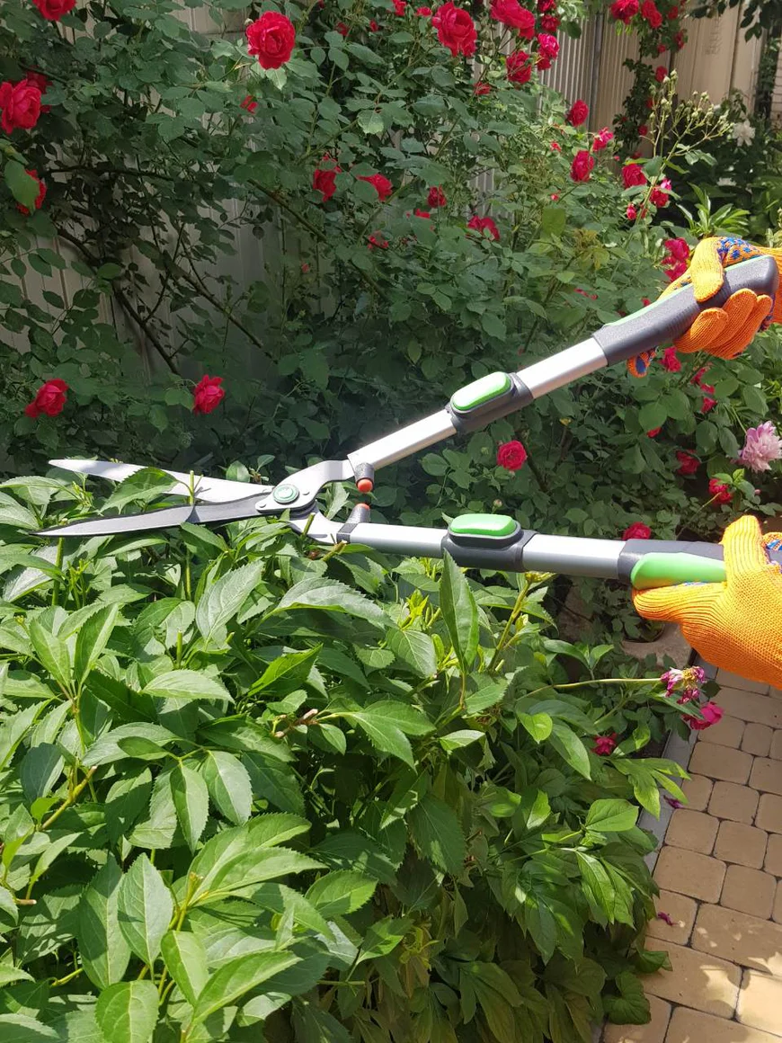 Кусторез Geolia