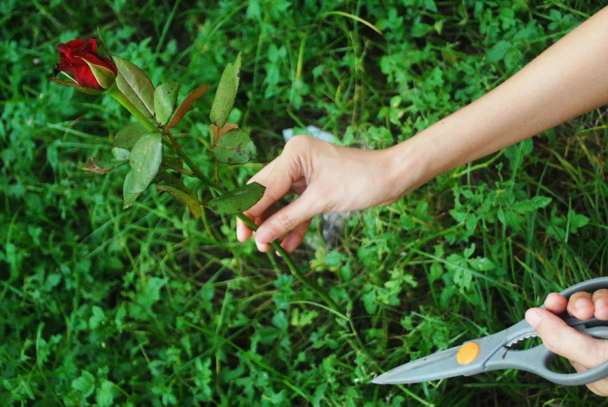 Обновление срезов
