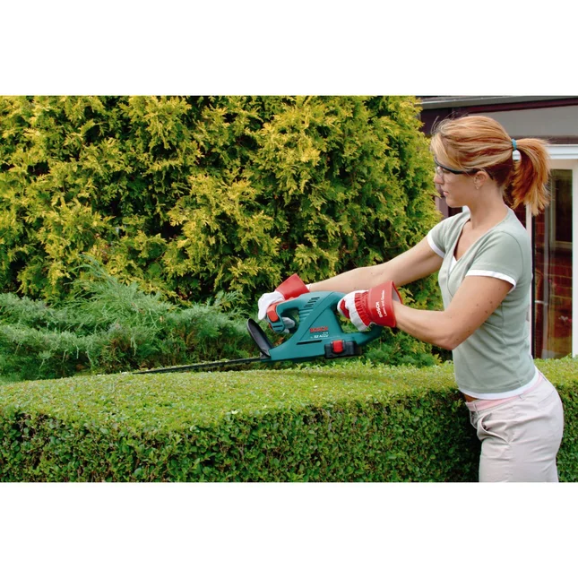 Хорошо переносят декоративную обрезку бирючина, форзиция,будлея Давида, лапчатка, спиреи.