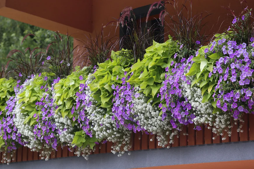 Правила создания цветочной композиции