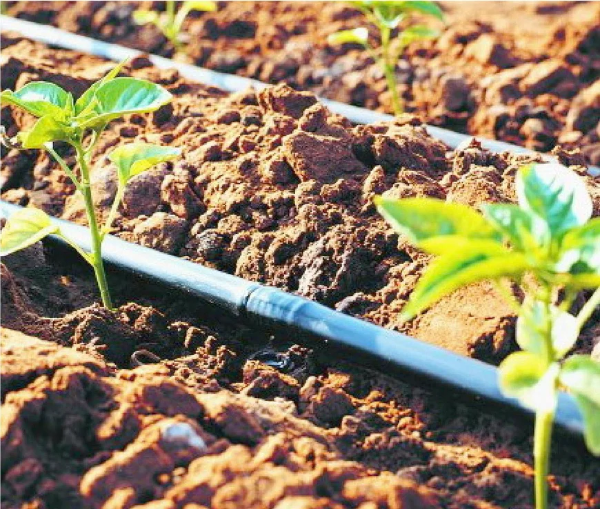 Капельный полив