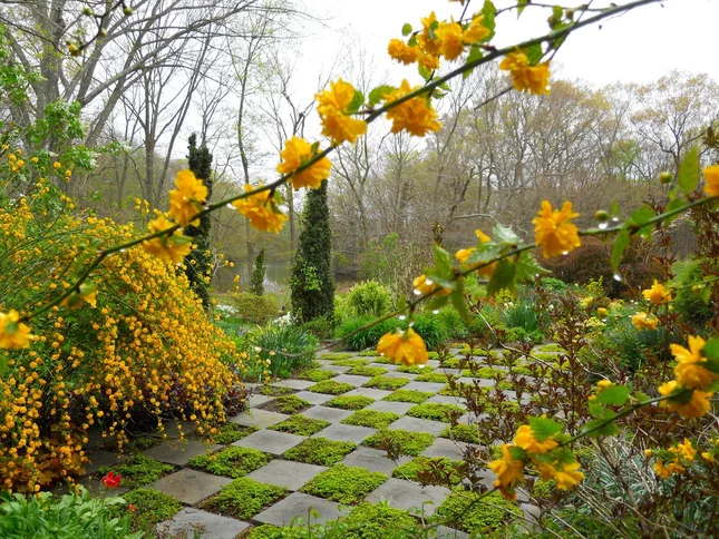 Шахматное патио.Display Garden, Seekonk, MA