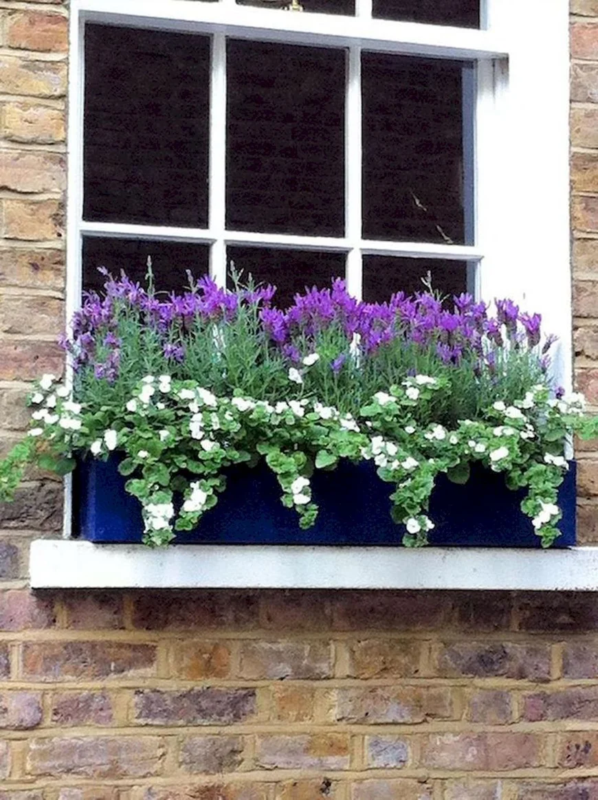 Цветные слои - это простой и эффективный способ сделать стильное окно.