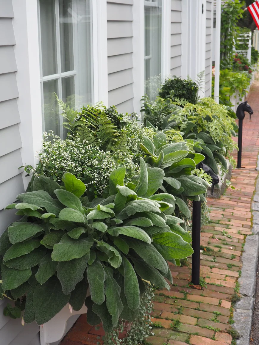 Удивительный цветник от Deborah Silver