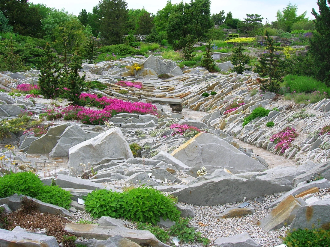 «Горная долина» — пейзажный каменистый сад, создающий образ высокогорной долины. Является художественной композицией.