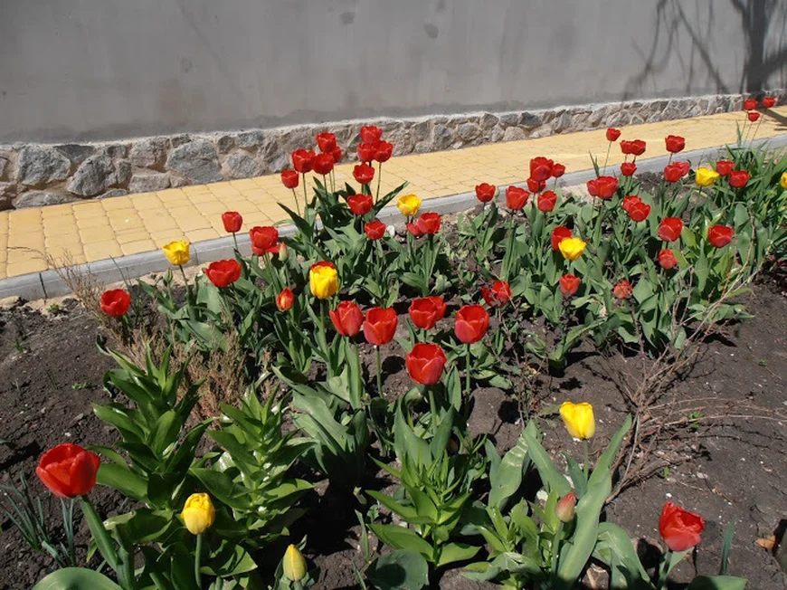 Дорожка возле входных ворот Дорожка возле входных ворот