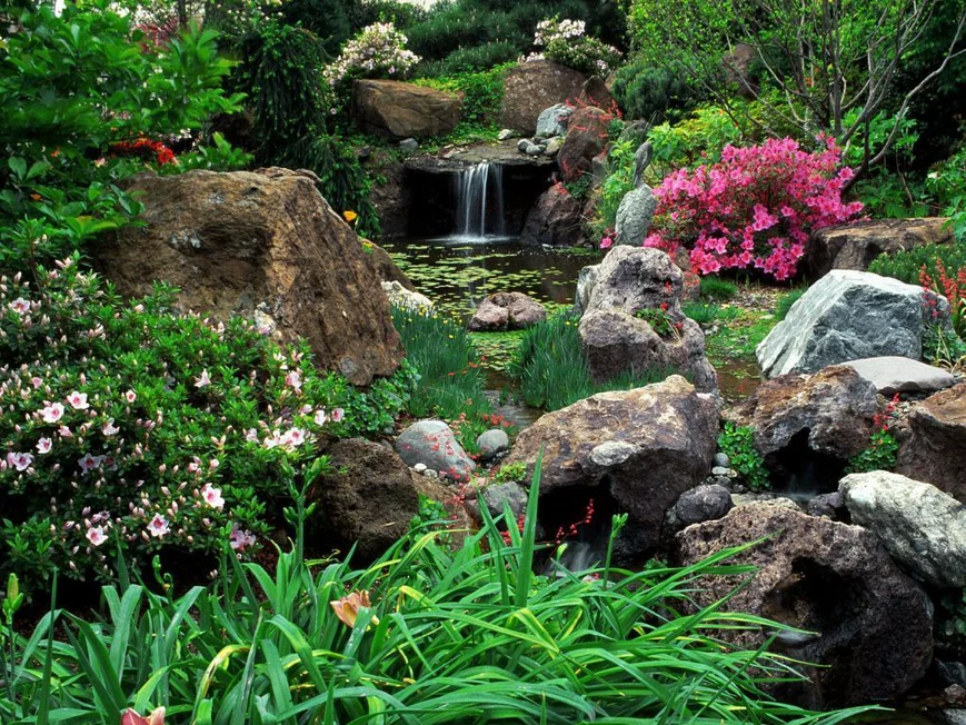 Рокарий - искусственно созданный цветник с использованием большого количества камней и валунов.