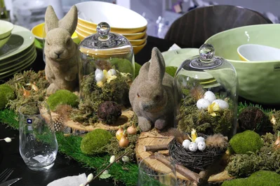 Птичьи гнезна на деревянных спилах