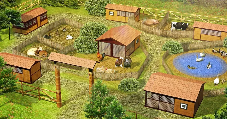 Як облаштувати подвір'я з тваринами .