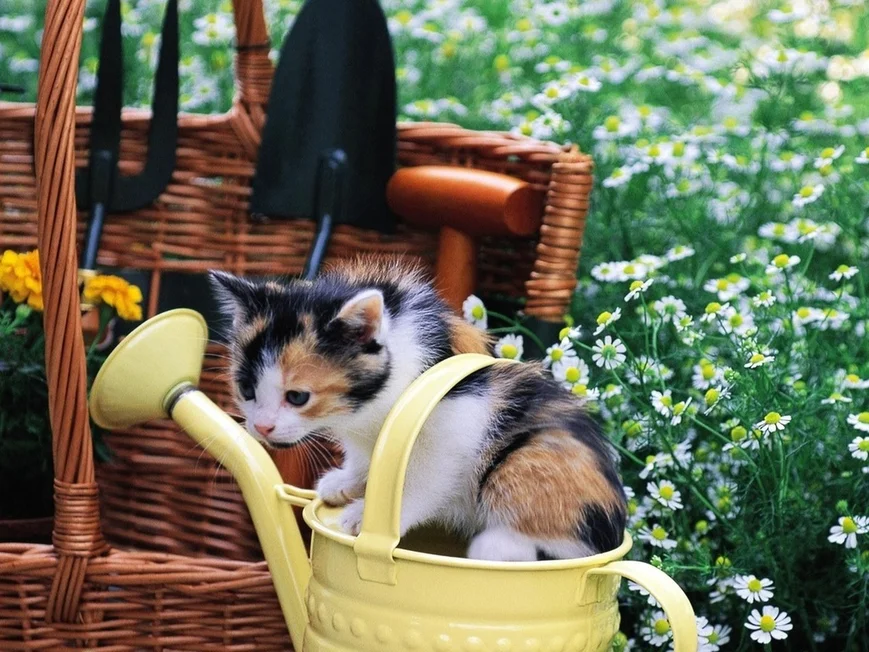 Как сделать работу в саду легкой: 14 советов для садоводов