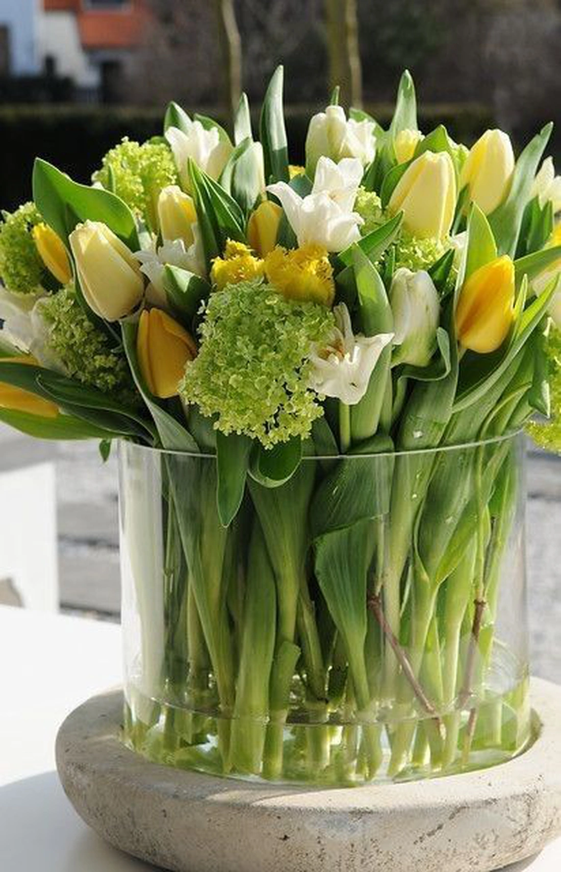 Тюльпани - елегантні квіти з різноманітністю кольорів і форм