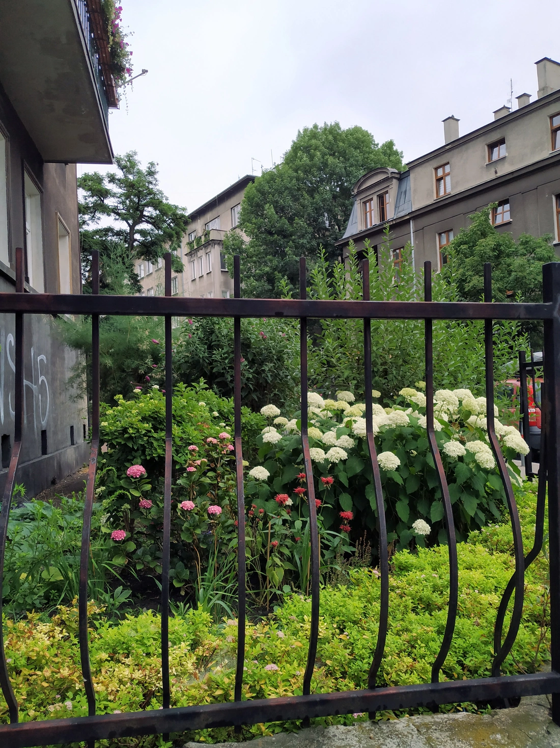 Сад в центре Кракова