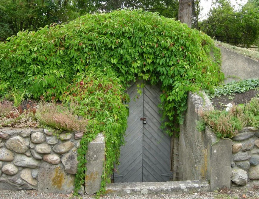 Насыпной погреб