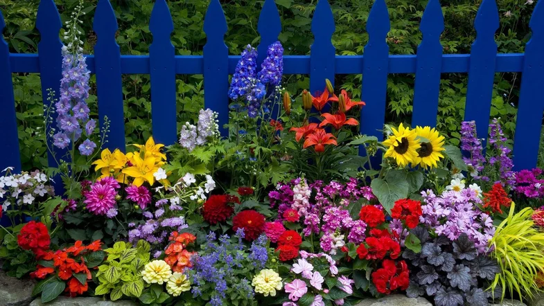 Как создать красивый сад цветов — luchistii-sudak.ru