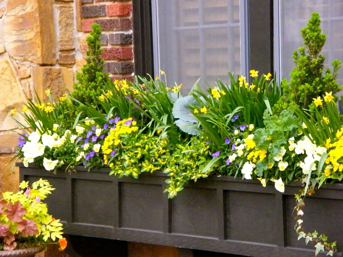 Первоцветы и вечнозеленые в композиции на окне