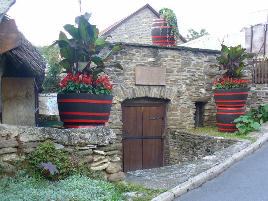 Винный погреб с контейнерными растениями