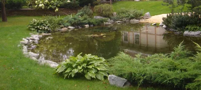  Наиболее удачная форма искусственного водоема — округлая. Она выглядит более естественно и напоминает настоящий природный водоем.