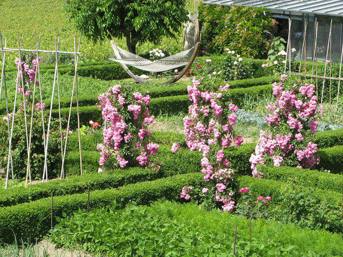 Легкие металлические опоры для плетистых роз в виде конуса, цилиндра, стенки, колонны можно разместить в любом уголке сада. 