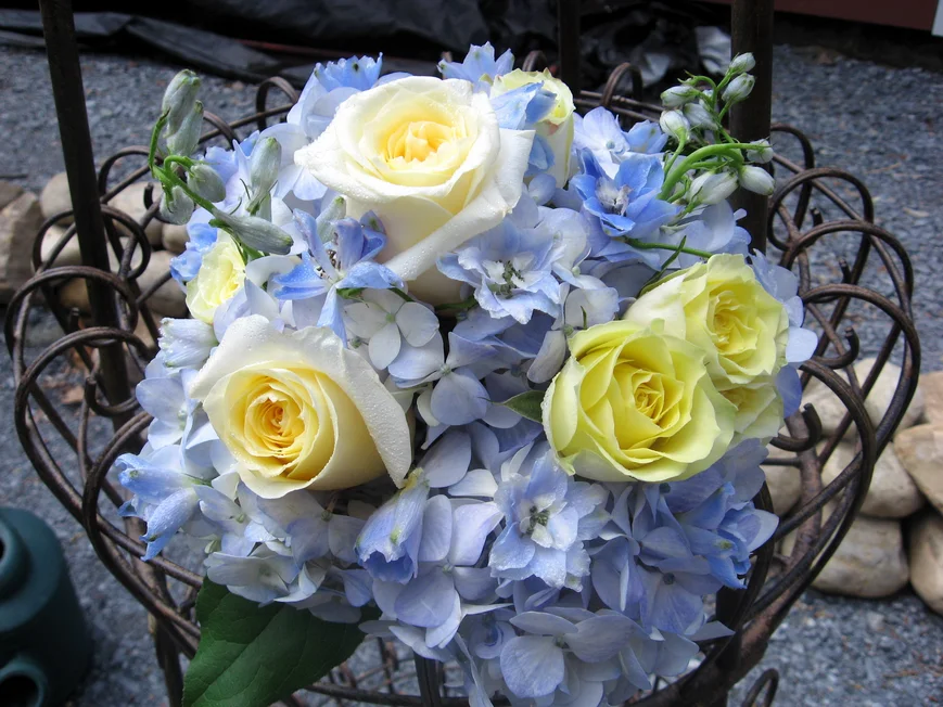 В нем слышен звон весенней капели и проглядывают теплые солнечные лучи. 