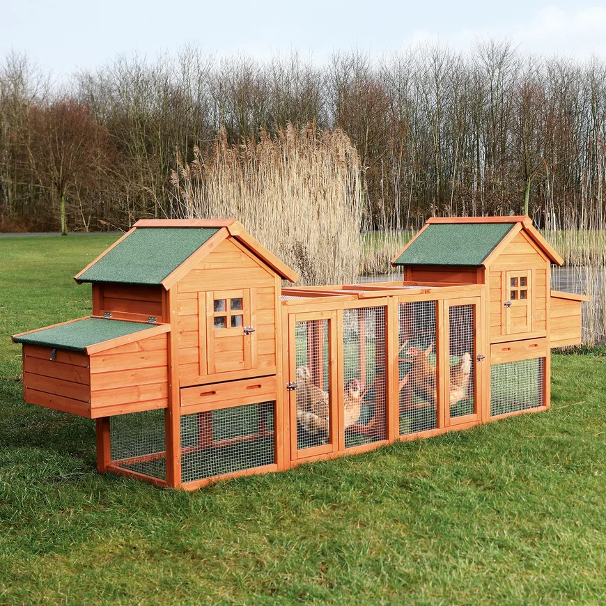 Як облаштувати подвір'я з тваринами: будиночок для курей