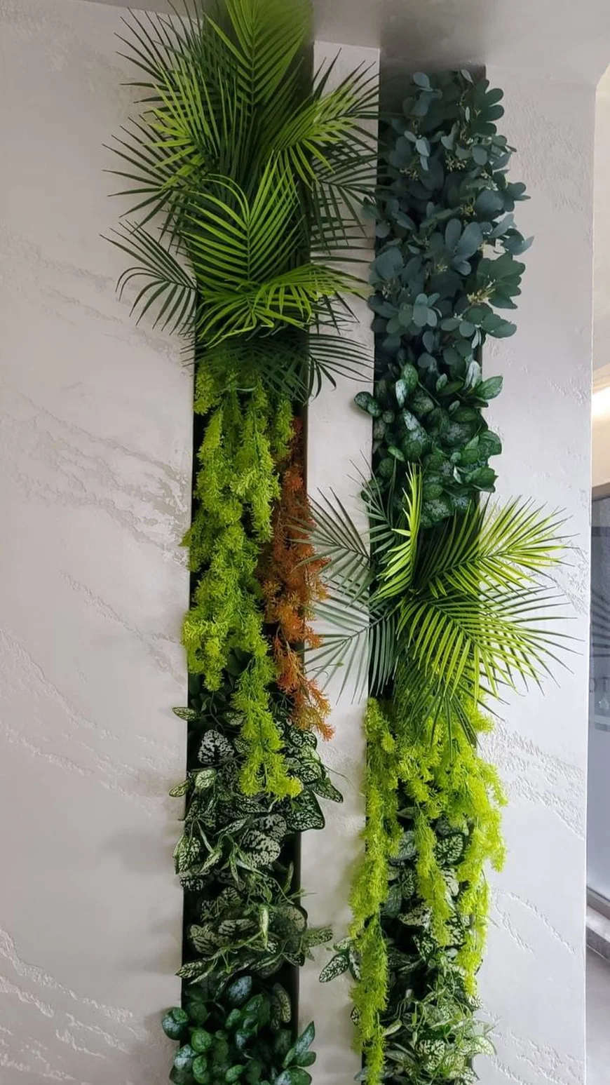 Оригінальне розміщення кімнатних рослин