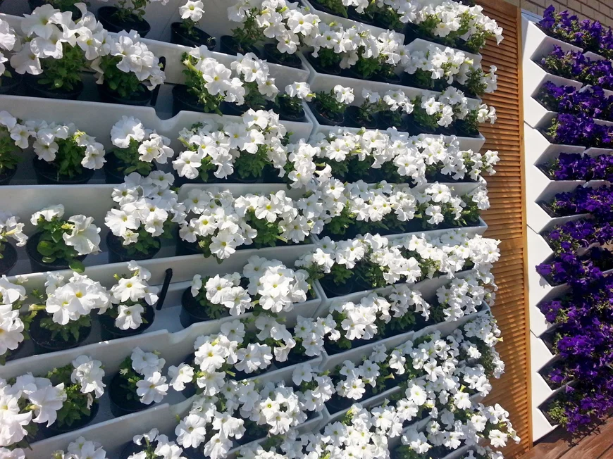 Вертикальная грядка на балконе Вертикальная грядка на балконе