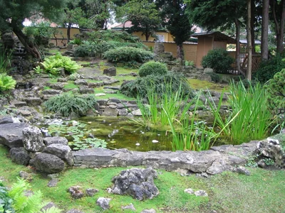 Гибкие покрытия обладают рядом преимуществ: они долговечны, выдерживают колебания температуры, предоставляют простор вашей фантазии создавать водоем любой формы и размера своими руками.